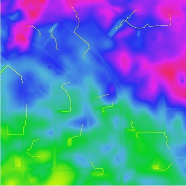 Click to Enlarge Image